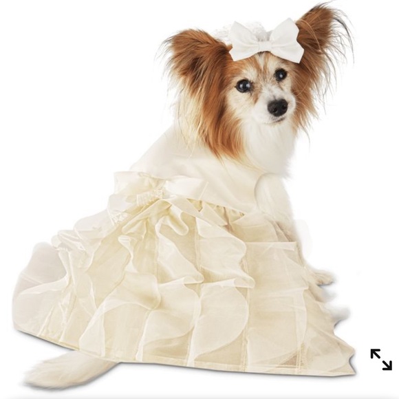 Wedding Dress Veil New Small Ivory White
Pet Dog Costume 
Halloween Bride - Picture 1 of 9